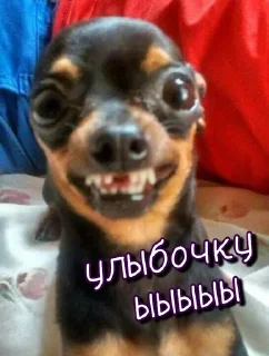 Sticker Больше стикеров 👉🏻 @stickertg4 - 5