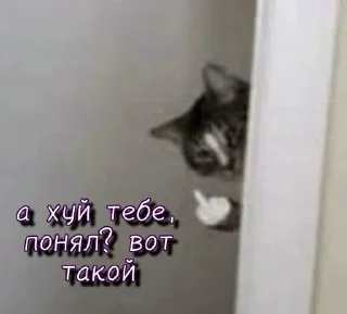 Sticker Больше стикеров 👉🏻 @stickertg4 - 11