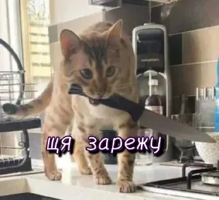 Sticker Больше стикеров 👉🏻 @stickertg4 - 3