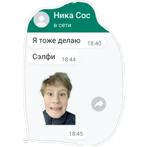 Стикер Nikisash x razЪeb - 11