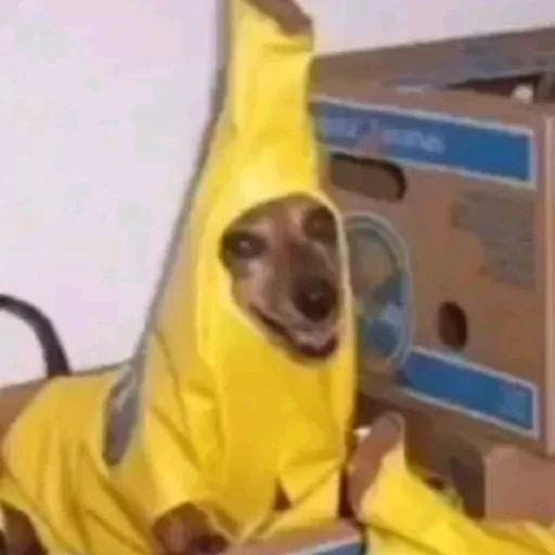 person yellow indoor