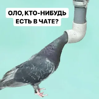 Стикер Создать стикеры|@EmojiRuBot - 2