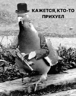 Стикер Создать стикеры|@EmojiRuBot - 9