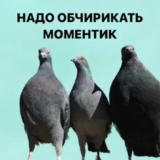 Стикер Создать стикеры|@EmojiRuBot - 10