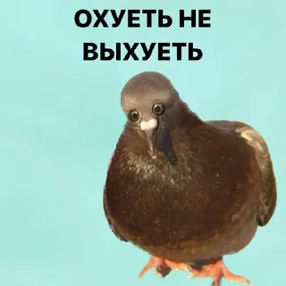 Стикер Создать стикеры|@EmojiRuBot - 5