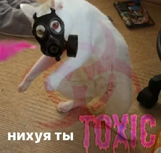 Стикер R3IM @TgEmodziBot - 1