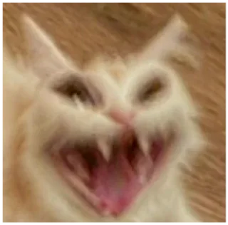 Стикер R3IM @TgEmodziBot - 11