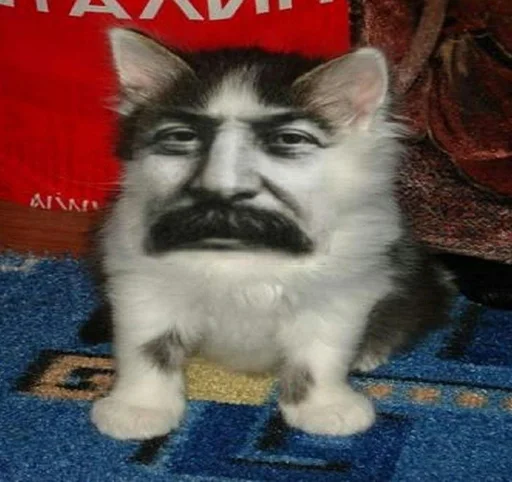 Sticker R41NCSGO - 1