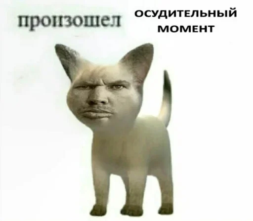 млекопитающее животное рыло