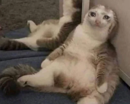 Sticker reem🇧🇭 - 11