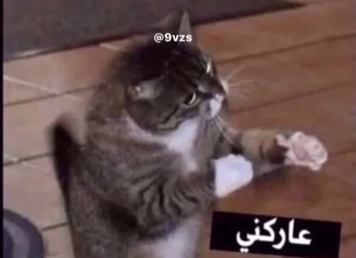 Sticker reem🇧🇭 - 5