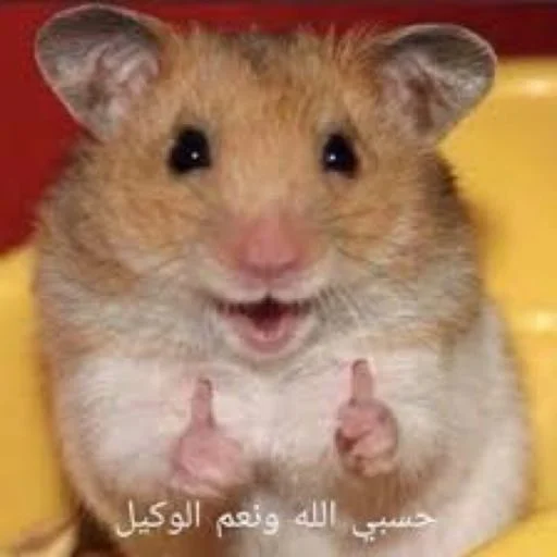 Sticker reem🇧🇭 - 0