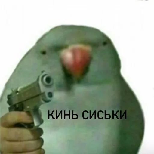 Sticker Стики из @Anonymnyi_chat_bot - 11