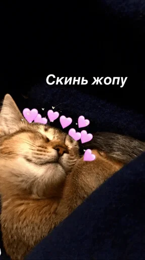 Sticker Стики из @Anonymnyi_chat_bot - 5