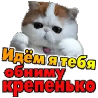 Sticker добрый - 11