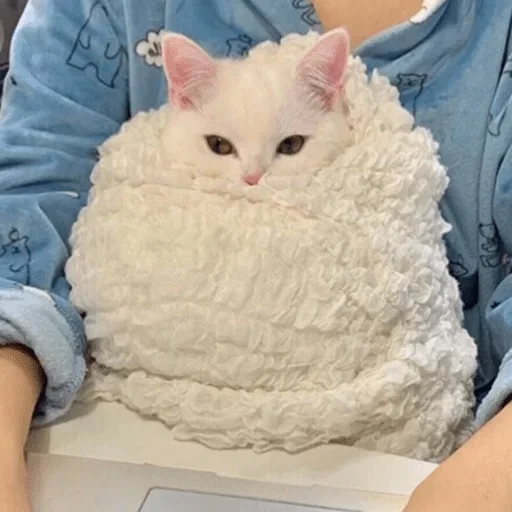 Sticker RFTUGCPOVM_by_stikers_du_ark_bot - 1