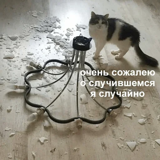 Стикер RFTUGCPOVM_by_stikers_du_ark_bot - 1