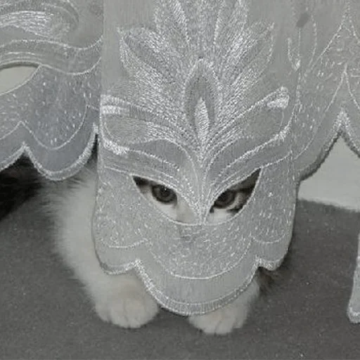 Стикер RFTUGCPOVM_by_stikers_du_ark_bot - 1