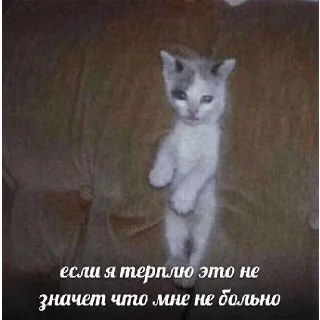 Sticker @sticksbb 🩷 <- канал со стиками - 9