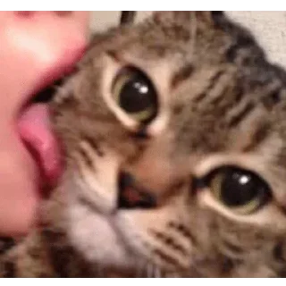 Sticker @sticksbb 🩷 <- канал со стиками - 6