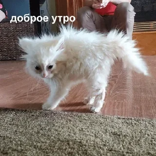 Sticker @sticksbb 🩷 <- канал со стиками - 3