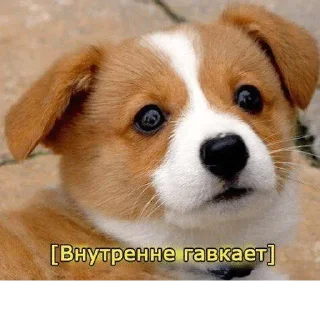 Sticker @sticksbb 🩷 <- канал со стиками - 4