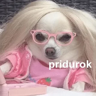 Sticker @sticksbb 🩷 <- канал со стиками - 0