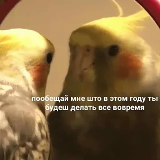 Sticker @sticksbb 🩷 <- канал со стиками - 1