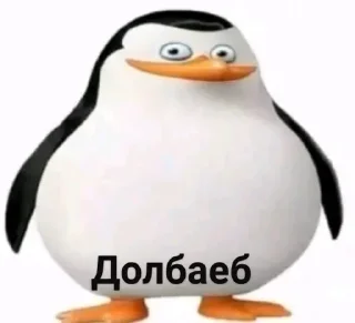 Стикер Больше стикеров: @sticerru - 3