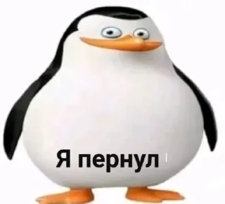 Стикер Больше стикеров: @sticerru - 4