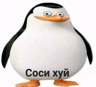 Стикер Больше стикеров: @sticerru - 5