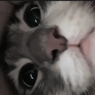 Sticker Стикеры тут: @stikeryv - 2