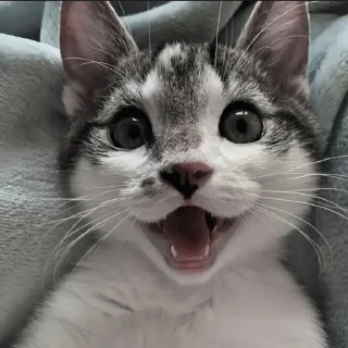 Sticker Стикеры тут: @stikeryv - 7