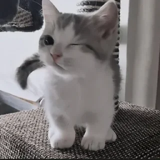 Sticker Стикеры тут: @stikeryv - 10