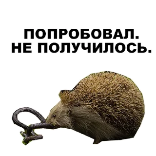 Sticker Среда обитания (@riamz) - 10