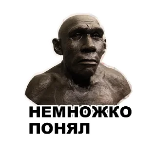 Sticker Среда обитания (@riamz) - 7