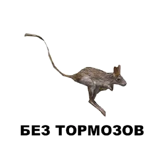 Sticker Среда обитания (@riamz) - 3