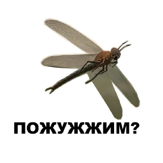 Sticker Среда обитания (@riamz) - 2