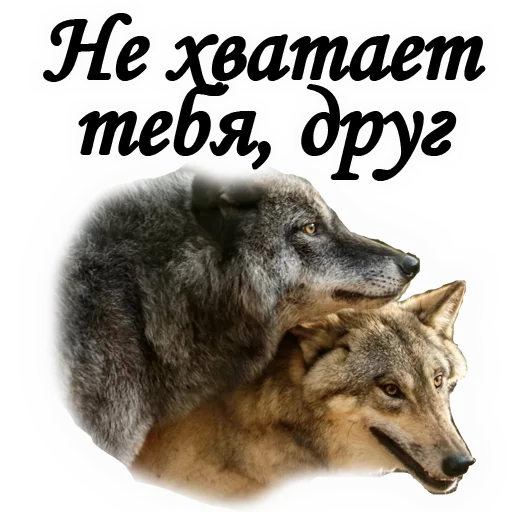 животное млекопитающее СМС