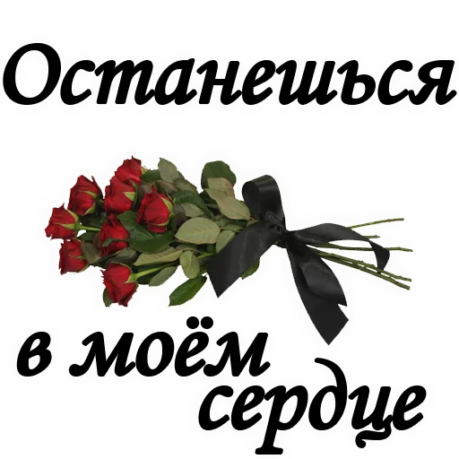 СМС шрифт фрукт