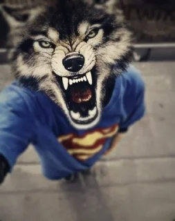 Sticker Михаил йоу @TgEmodziBot - 6