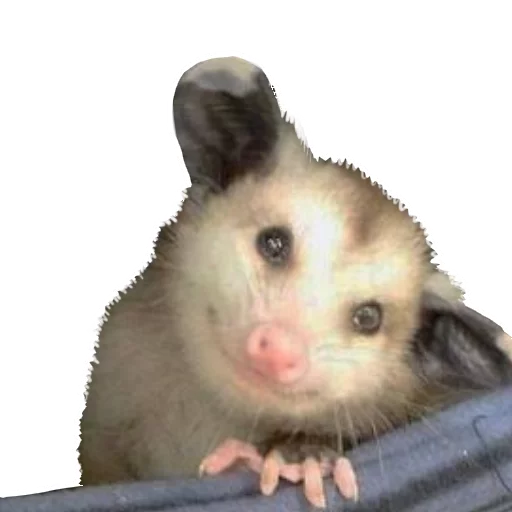 Стикер REAL Poss Stickers - 7