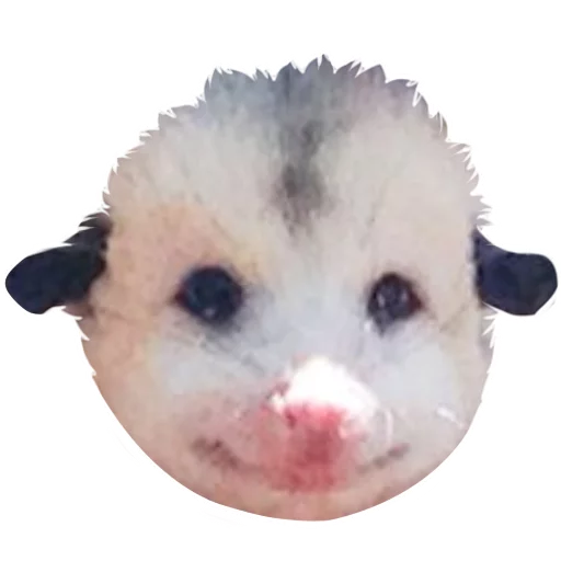 Стикер REAL Poss Stickers - 6