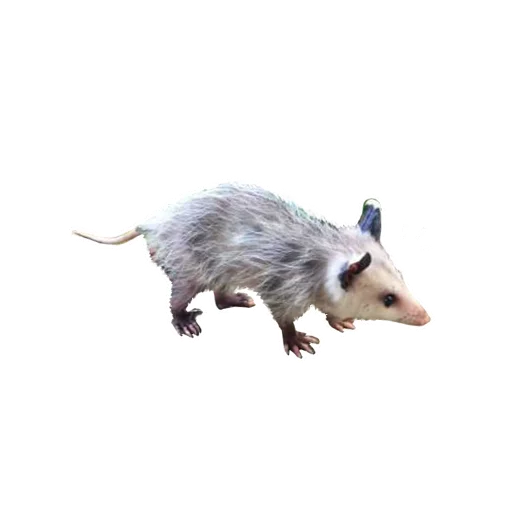 Стикер REAL Poss Stickers - 2