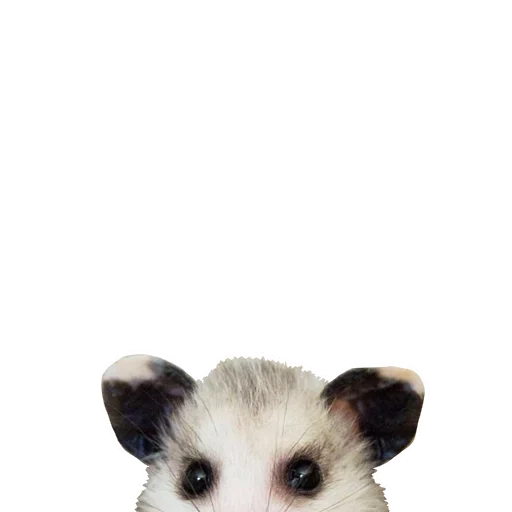 Стикер REAL Poss Stickers - 1