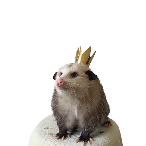 Стикер REAL Poss Stickers - 0