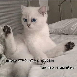 Sticker Создано в @sozdsti_bot - 10