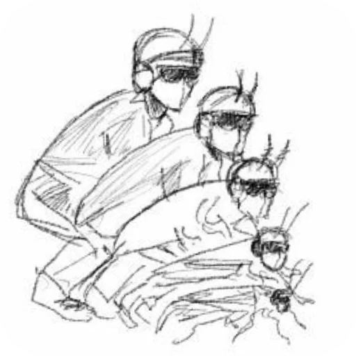 sketch line art illustration