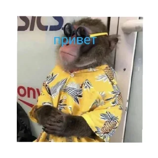 Sticker РОМАСС АВТОР - 3