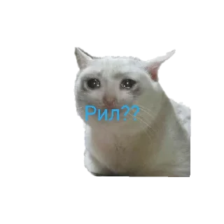 Sticker РОМАСС АВТОР - 8